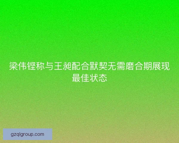 梁伟铿称与王昶配合默契无需磨合期展现最佳状态